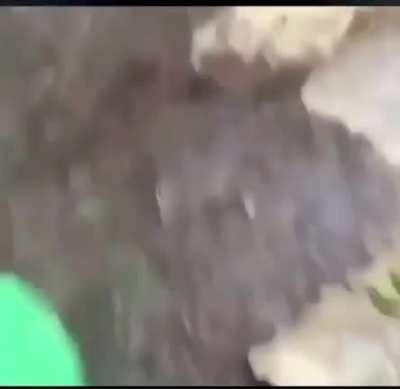 Zoooooooom