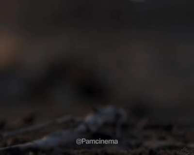 I thought this video would be appreciated here