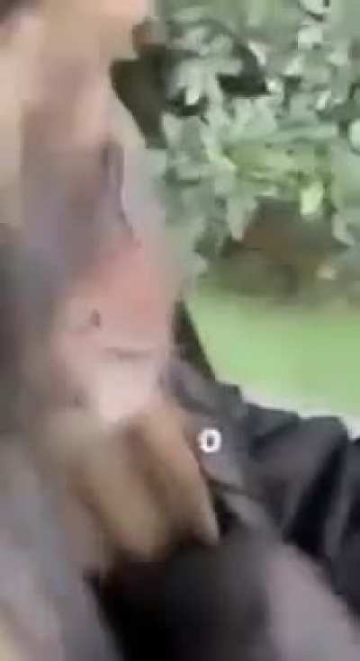 🤠