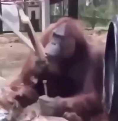 Wtf