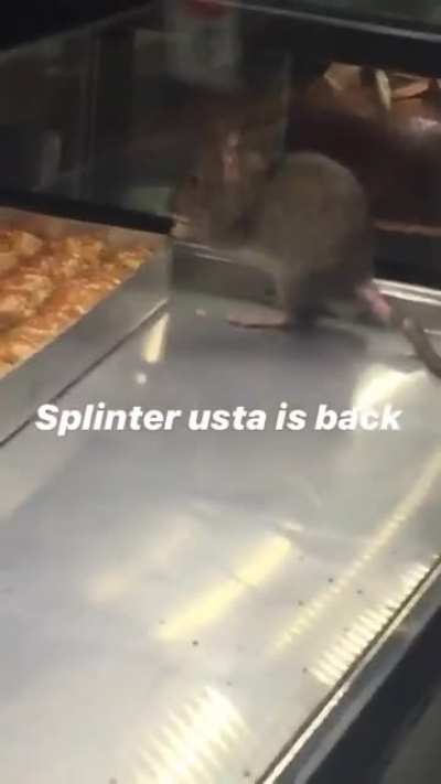 splinter usta baklava yiyor