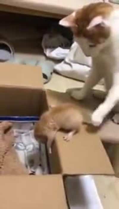 Sometimes you need a little push