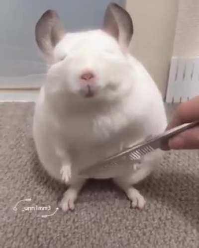 Ummm..