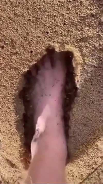 🤤🤤🤤