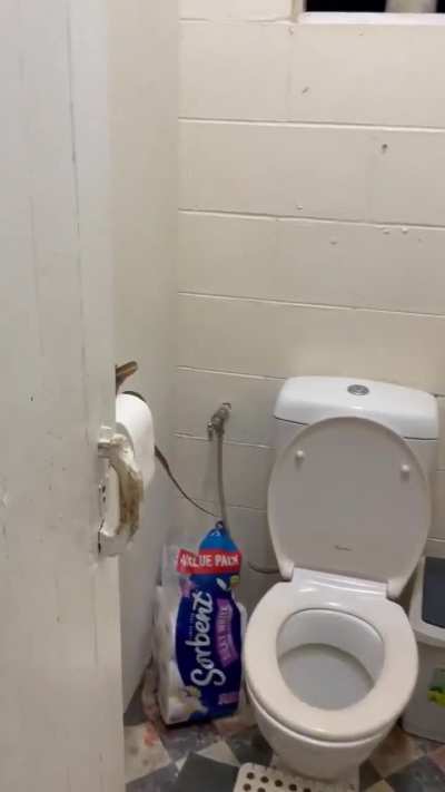 Not what you want to find in the bathroom.