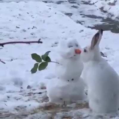 Just a bunny munching on a snowman&rsquo;s carrot nose