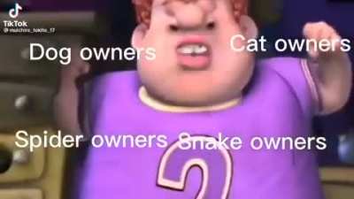 Moldy pets