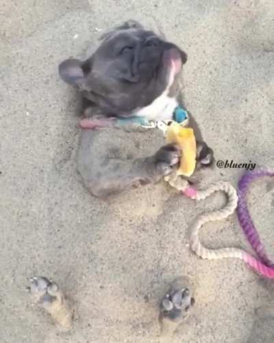 A Day At The Beach