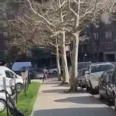 average urbanite