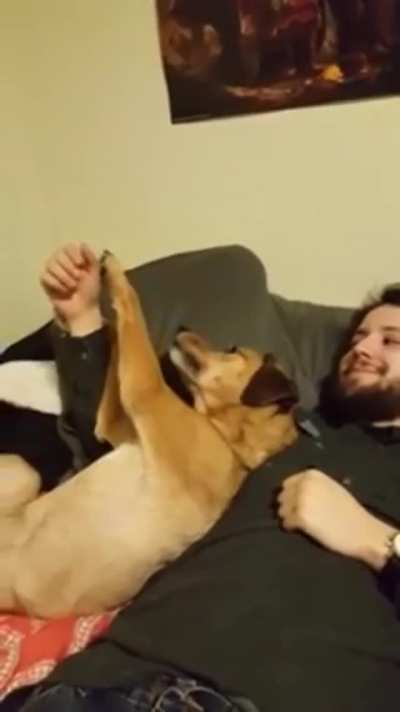 We&rsquo;re Just Gonna Put That Riiiight Back Here.
