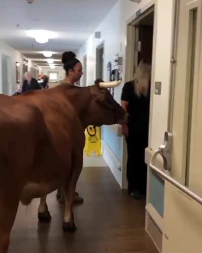 You have a visitor