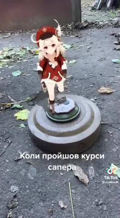 "Why is the demining taking so long?"