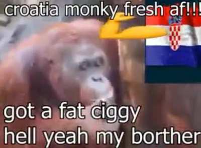 Funny monke hehehe