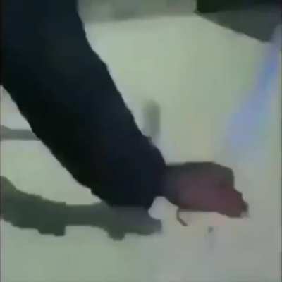 la clemencia es una opci&oacute;n que tu no tienes