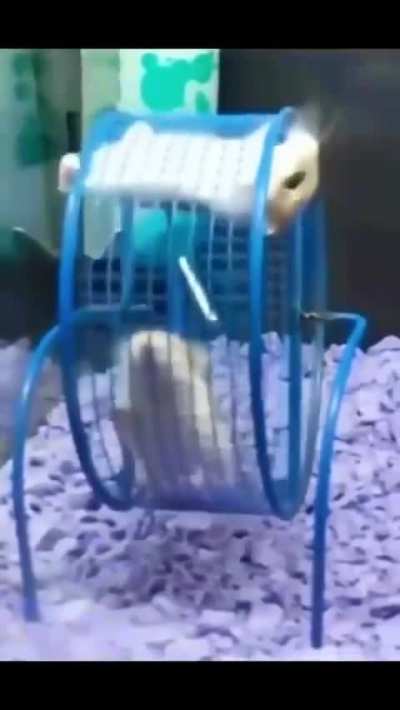 &ordf;