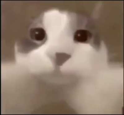 me gusta minecraft