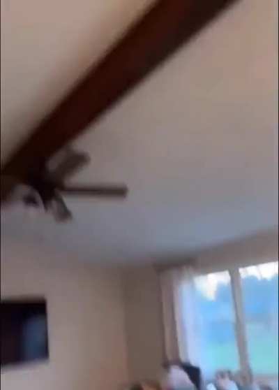 Poor cat never stood a chance.