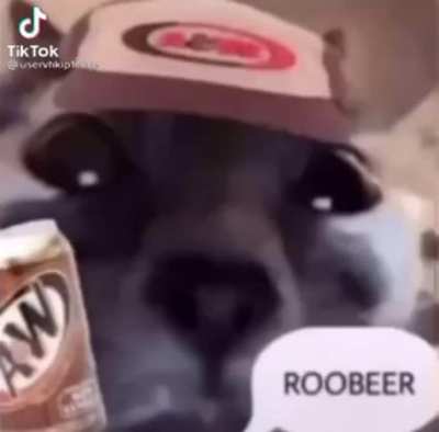 Soda cats
