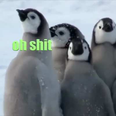 Birds the word.