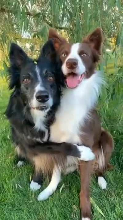 He is Obedient and Innocent!!