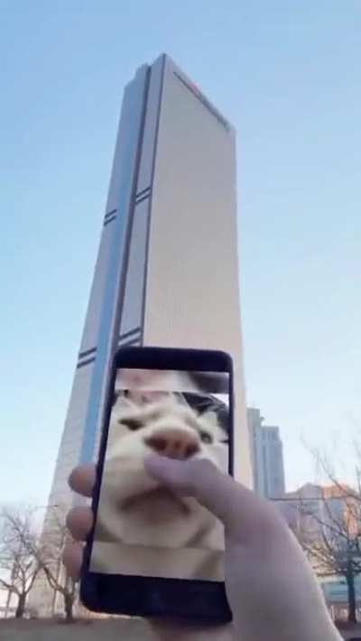 Me_irl