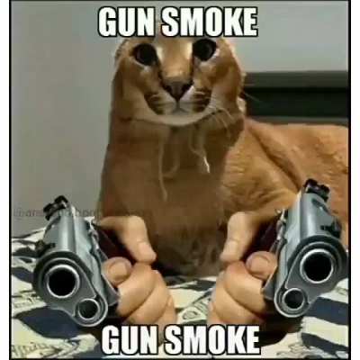 rule