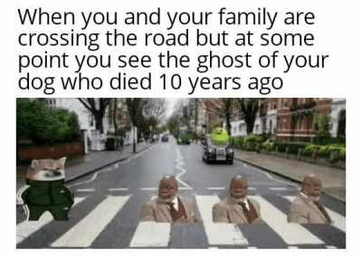 Oh shit