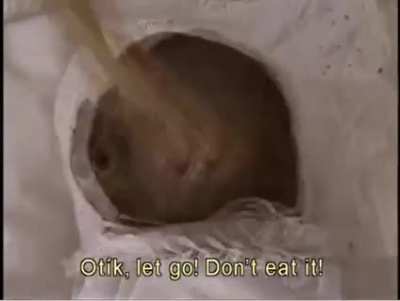 Cursed_Groot