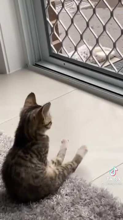 Airing out your toe beans