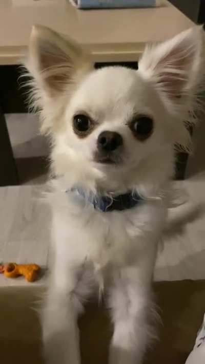 That&rsquo;s how he asks for food.