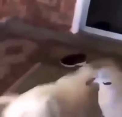Nom
