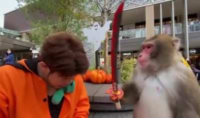 Monke.