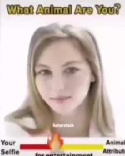cum&sup3;