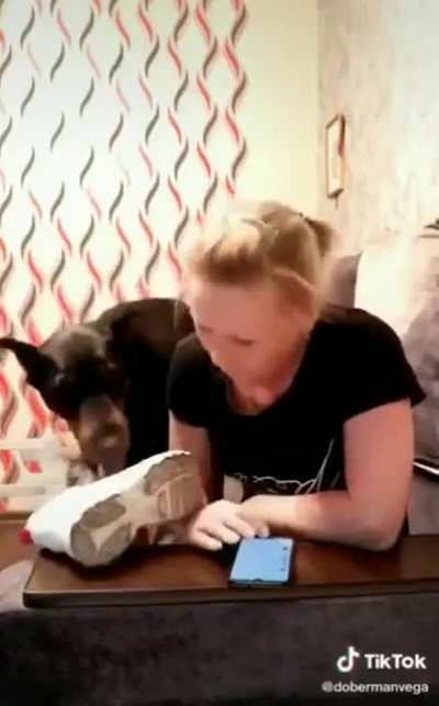 🐕&zwj;🦺 вот собачий язык, а не то что вы думаете 🐕&zwj;🦺