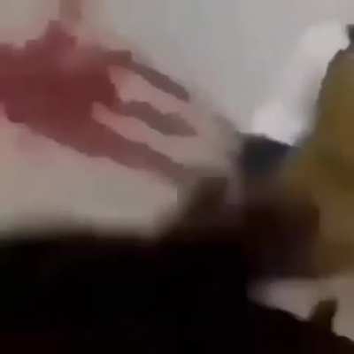 SUELTA PERRO MARACO