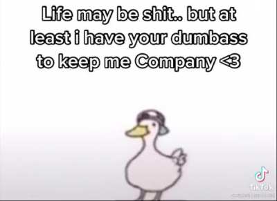 Little duck happy