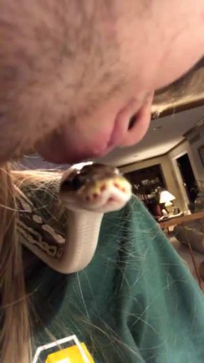 He&rsquo;s a good boy, Bront
