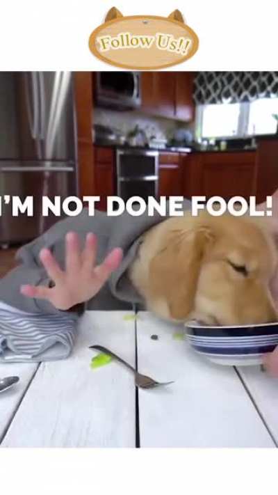 I&rsquo;m starving！