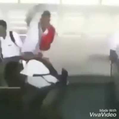Festa da destrui&ccedil;&atilde;o :v