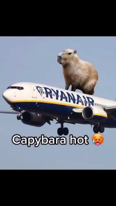Ryanair unironically posted this