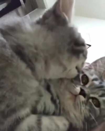 Let me clean you up... Omg you are so cute, I want to bite you