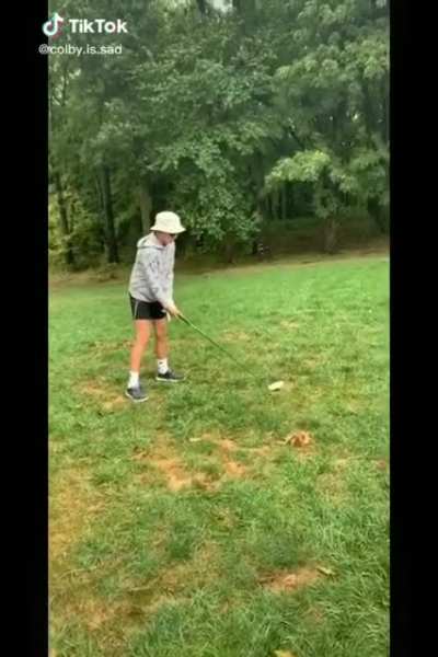 Tiger woods