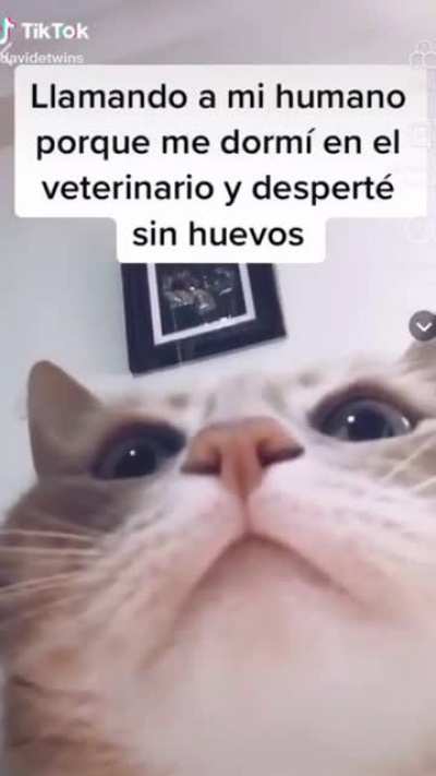 Nooooooo