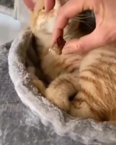 ...............foooooooooood!