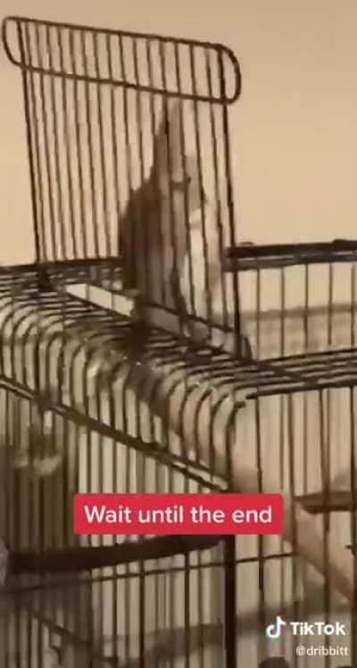 he was warned