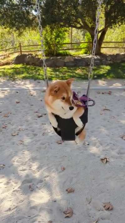 Ellie Swinging through the weekend
