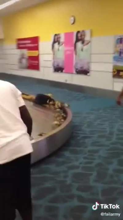 mUtANt BedBUGs BURsT FRom tOurisT's lUgGage AnD atTaCk cRoWd - No suRvIVOrS!