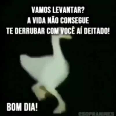 Orochisegundo - Video #4854