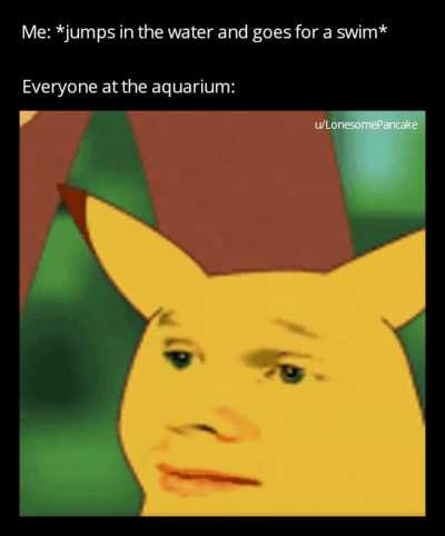 Why is everyone looking at me like that?