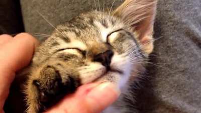 A tiny &amp;amp; yet loud purr engine.